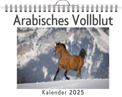 Huber, S: Arabisches Vollblut
