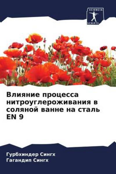 Vliqnie processa nitrouglerozhiwaniq w solqnoj wanne na stal’ EN 9