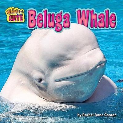 Beluga Whale