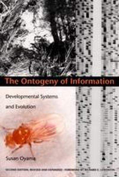The Ontogeny of Information