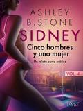 Sidney 4: Cinco hombres y una mujer - un relato corto erótico