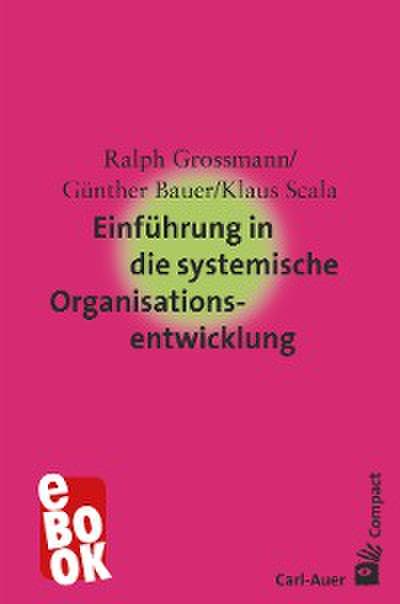 Einführung in die systemische Organisationsentwicklung