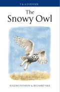 The Snowy Owl