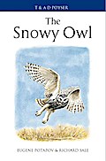 The Snowy Owl
