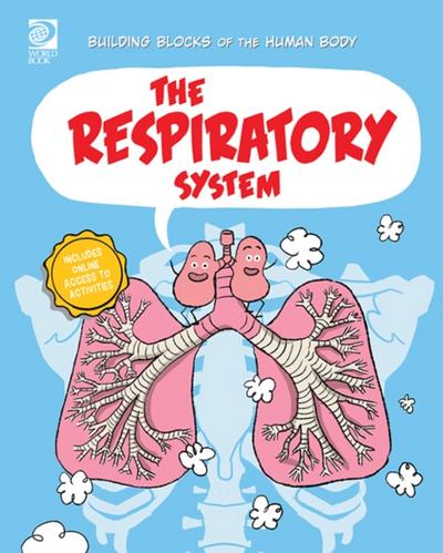 Respiratory System