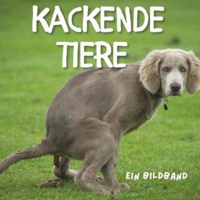 Tiere beim Kacken