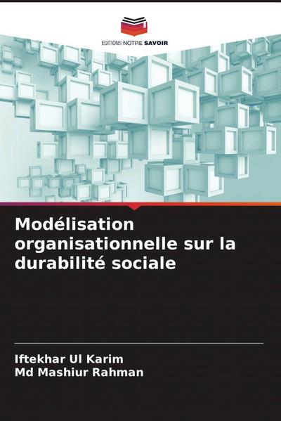 Modélisation organisationnelle sur la durabilité sociale