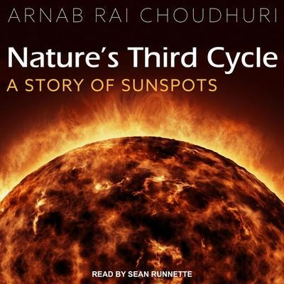 Nature’s Third Cycle: A Story of Sunspots