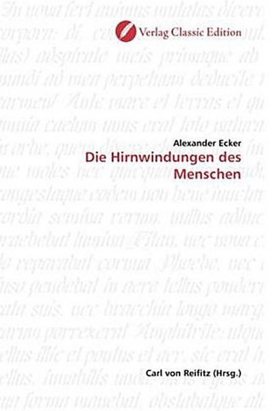 Die Hirnwindungen des Menschen