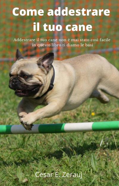 Come addestrare il tuo cane   Addestrare il tuo cane non è mai stato così facile in questo libro ti diamo le basi