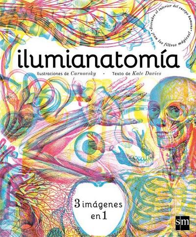 Ilumianatomía