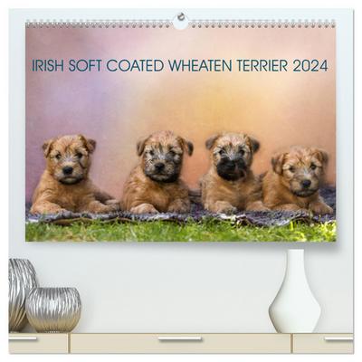 IRISH SOFT COATED WHEATEN TERRIER 2024 (hochwertiger Premium Wandkalender 2024 DIN A2 quer), Kunstdruck in Hochglanz