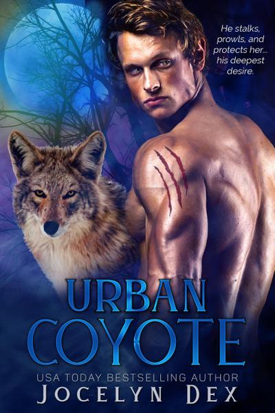Urban Coyote