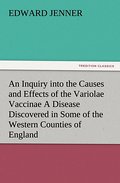 An Inquiry into the Causes and Effects of the Vari