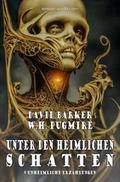Unter den heimlichen Schatten - 9 unheimliche Erzä