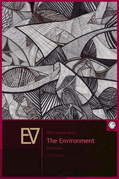 EV - The Environment