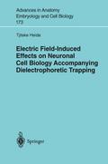Electric Field-Induced Effects on Neuronal Cell Bi