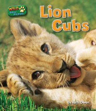 Lion Cubs