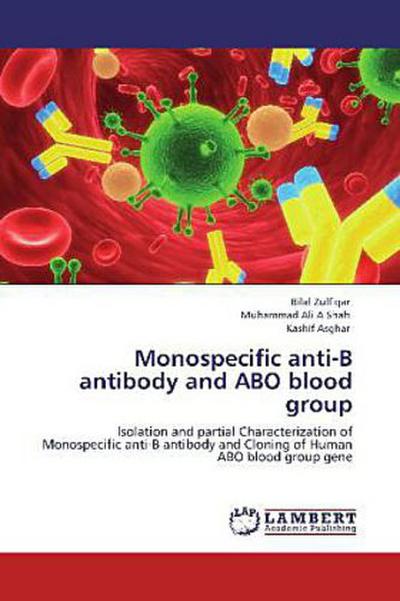 Monospecific anti-B antibody and ABO blood group