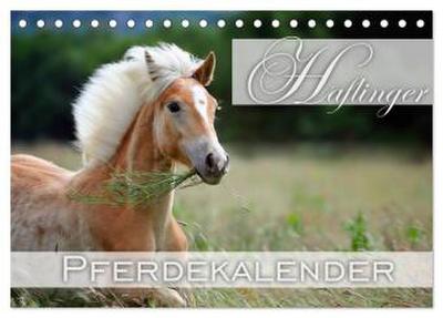 Haflinger / Geburtstagskalender (Tischkalender 2026 DIN A5 quer), CALVENDO Monatskalender