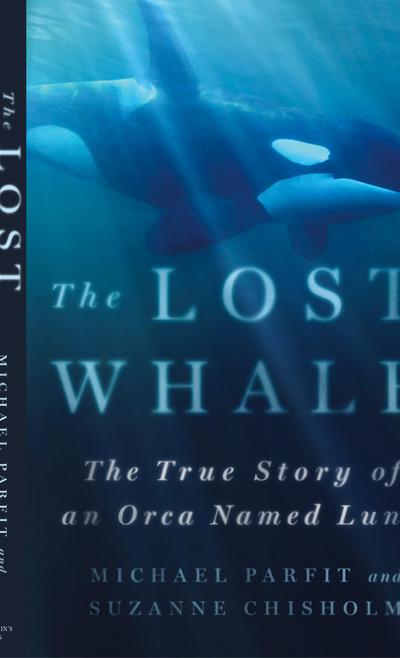 Lost Whale