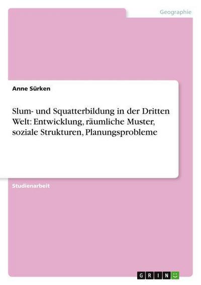 Slum- und Squatterbildung in der Dritten Welt: Entwicklung, räumliche Muster, soziale Strukturen, Planungsprobleme - Anne Sürken