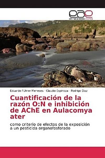 Cuantificación de la razón O:N e inhibición de AChE en Aulacomya ater