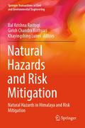 Natural Hazards and Risk Mitigation