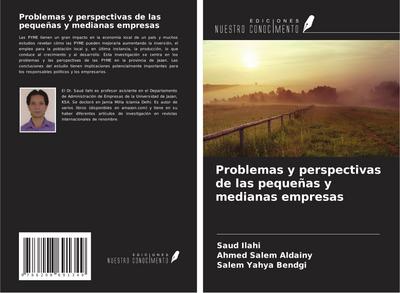 Problemas y perspectivas de las pequeñas y medianas empresas