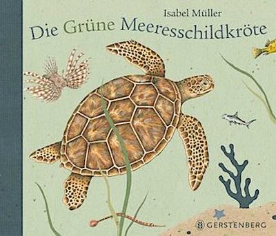Die Grüne Meeresschildkröte