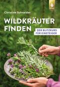 Wildkräuter finden