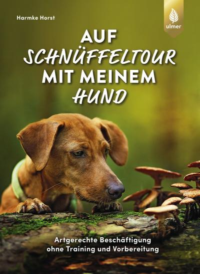 Auf Schnüffeltour mit meinem Hund