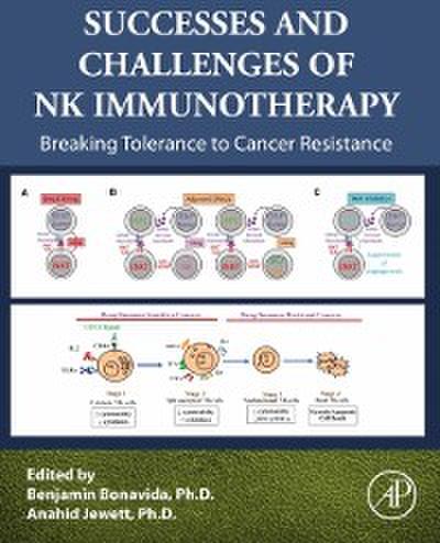 Successes and Challenges of NK Immunotherapy