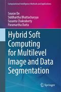 Hybrid Soft Computing for Multilevel Image and Data Segmentation