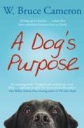 Dog’s Purpose