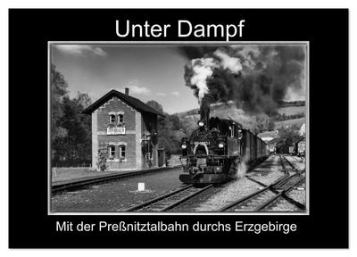 Unter Dampf - Mit der Preßnitztalbahn durchs Erzgebirge (Wandkalender 2026 DIN A3 quer), CALVENDO Monatskalender