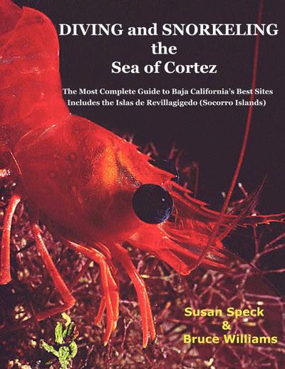 Diving and Snorkeling Baja California’s Sea of Cortez