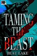 Taming the Beast