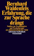 Erfahrung, die zur Sprache drängt