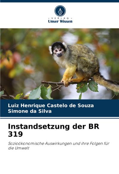 Instandsetzung der BR 319