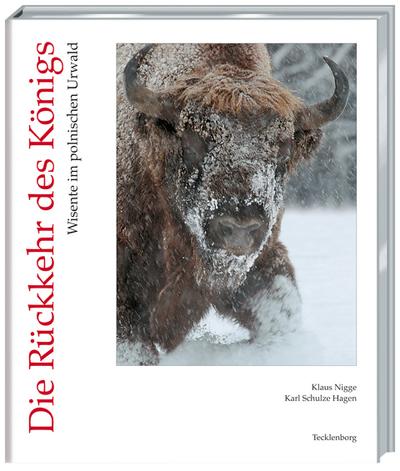 Rückkehr des Königs