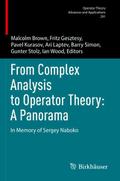 From Complex Analysis to Operator Theory: A Panorama
