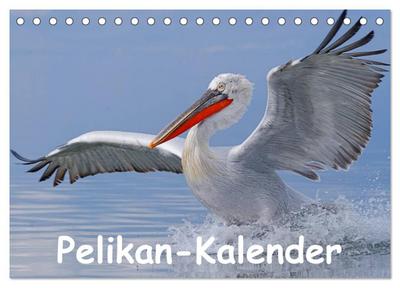 Pelikan-Kalender (Tischkalender 2024 DIN A5 quer), CALVENDO Monatskalender