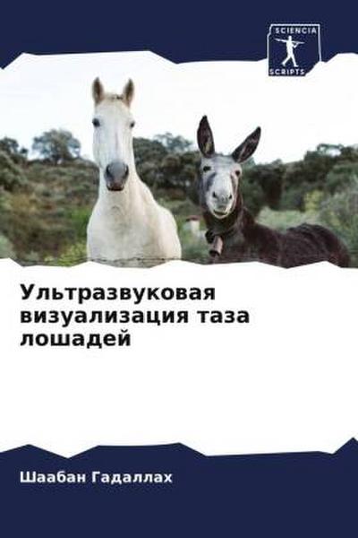 Ul’trazwukowaq wizualizaciq taza loshadej