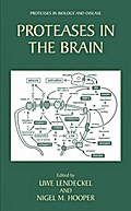 Proteases in the Brain
