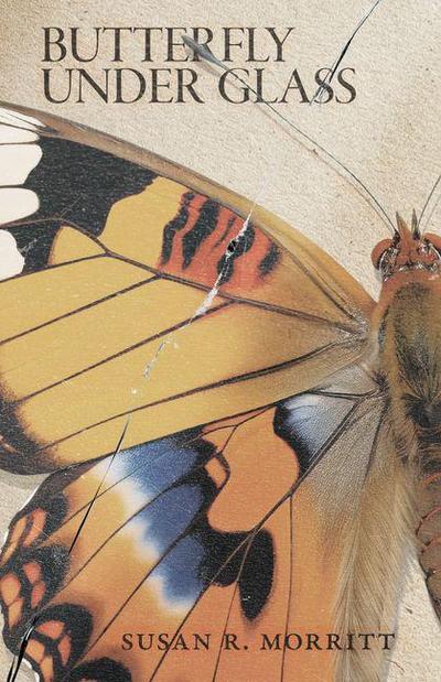 Butterfly Under Glass