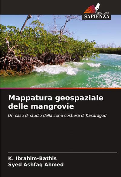 Mappatura geospaziale delle mangrovie