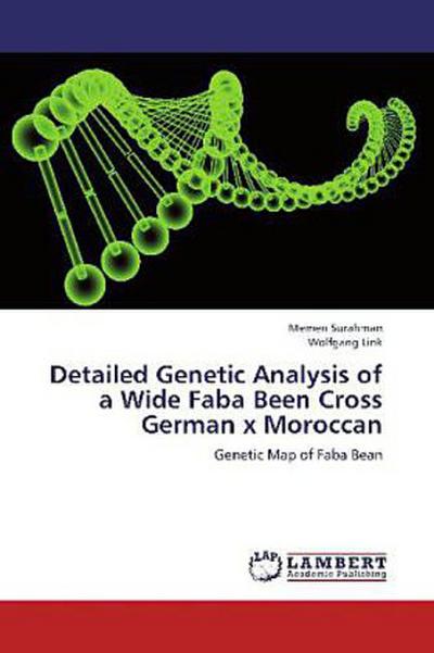 Detailed Genetic Analysis of a Wide Faba Been Cross German x Moroccan