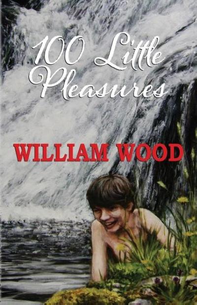 100 Little Pleasures