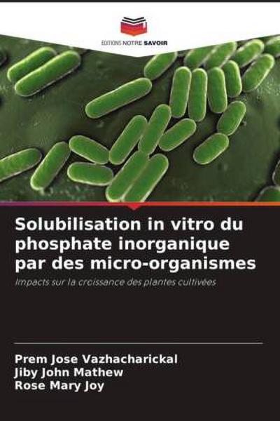 Solubilisation in vitro du phosphate inorganique par des micro-organismes